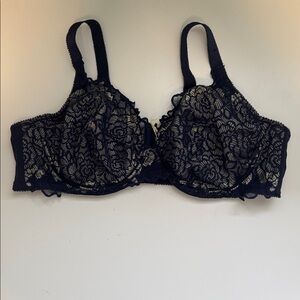 Deesse Lace Overlay Bra in Dark Blue and Gold 46C